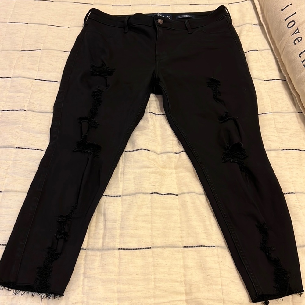 Hollister Jean